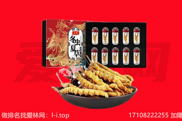 日喀则定结回收虫草.jpg